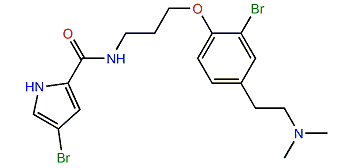 Agelanesin A